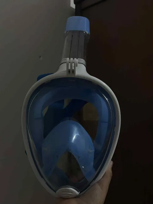 Masque de natation intégral