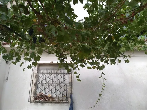 Location Villa Blida Ouled el alleug