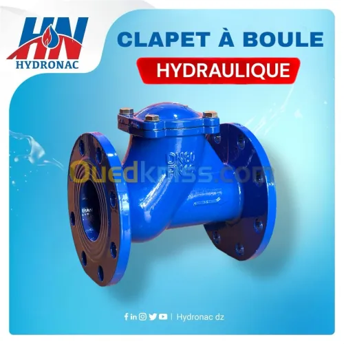 Clapet à Bride à Battant/à Boule 