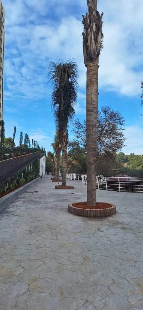 Vente Appartement F4 Tipaza Kolea