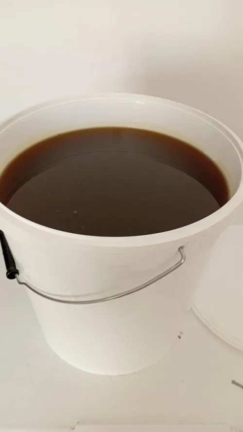 عسل النحل / Miel d'abeille