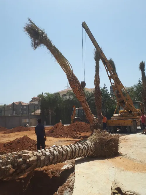 رافعات 4×4 رافعة متحركة 2013