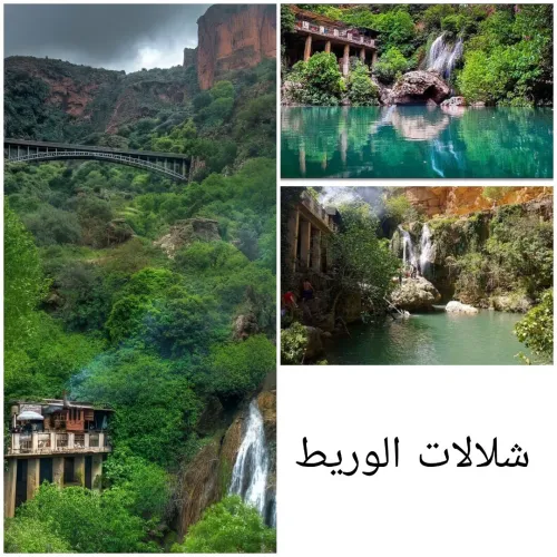 Location Appartement Tlemcen Tlemcen