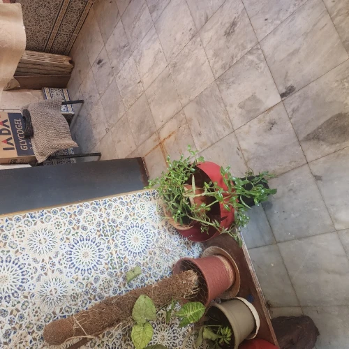 Location Villa Alger Ouled fayet