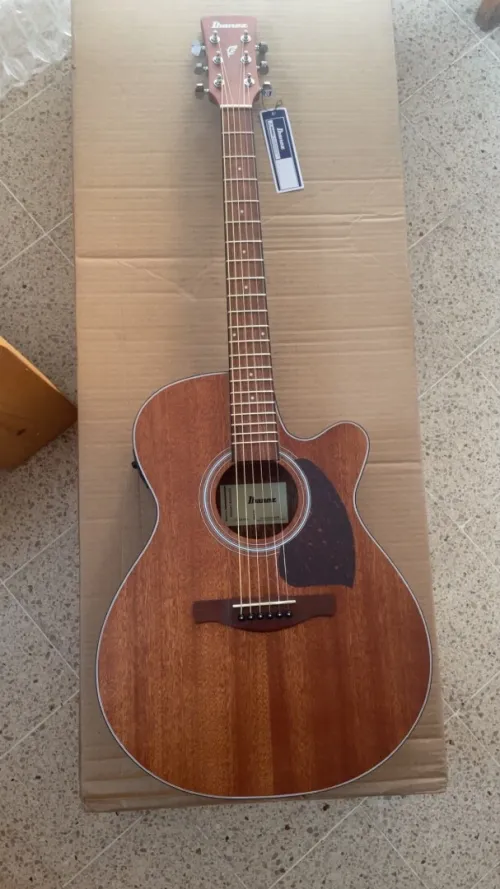 Guitar Ibanez