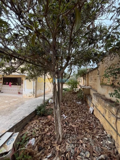 Vente Villa Tipaza Cherchell