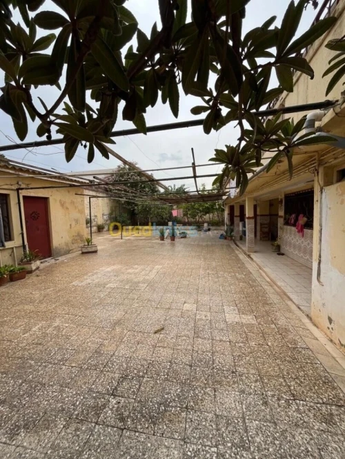 Vente Villa Tipaza Cherchell