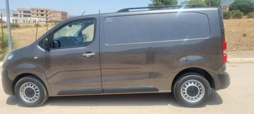Fiat Scodo 2024 Scodo