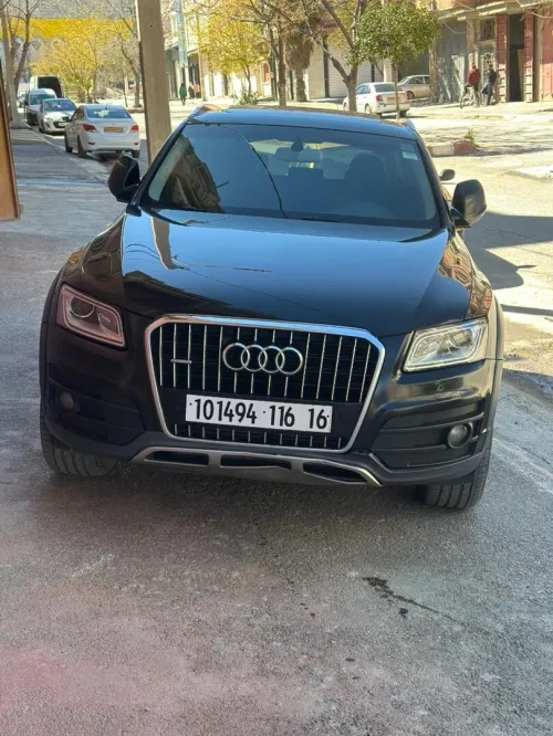 Audi Q5 2016 Off Road