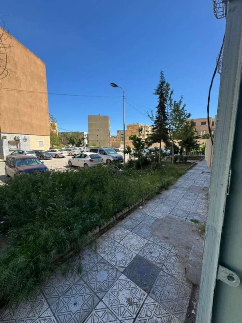 Location Local Sidi Bel Abbès Sidi bel abbes