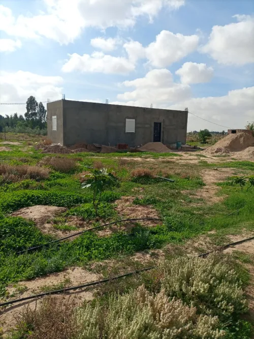 Vente Terrain Agricole Djelfa Hassi bahbah