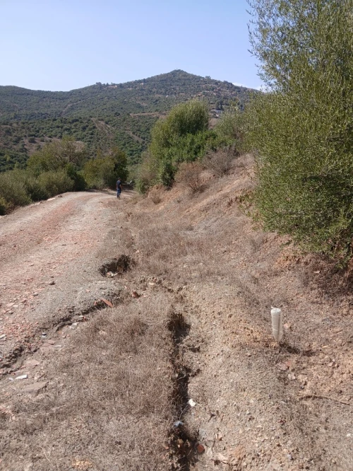 Vente Terrain Bouira Bouderbala