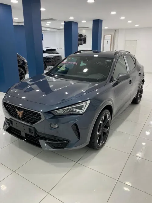 Cupra  Formentor 2025 Bits