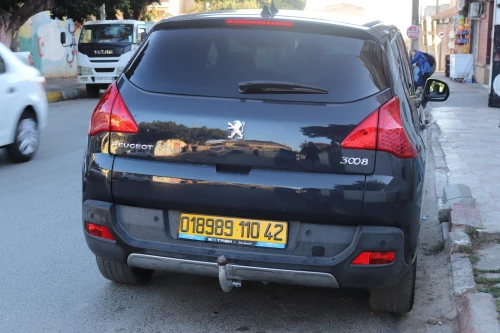 Peugeot 3008 2010 Premium