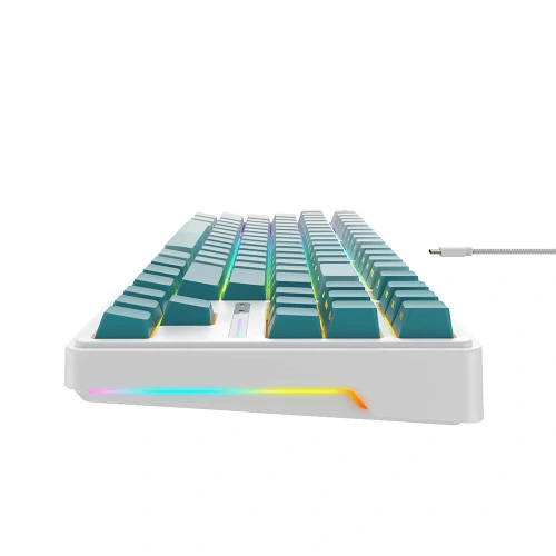 Clavier Havit KB901L Mécanique RGB Red Switch (Format Ultra-Compact 75%)