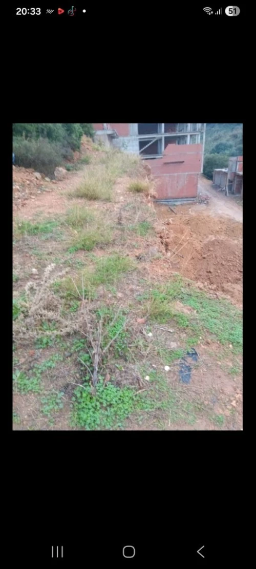 Vente Terrain Tipaza Ain tagourait