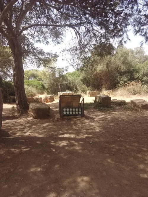 Vente Terrain Tipaza Tipaza