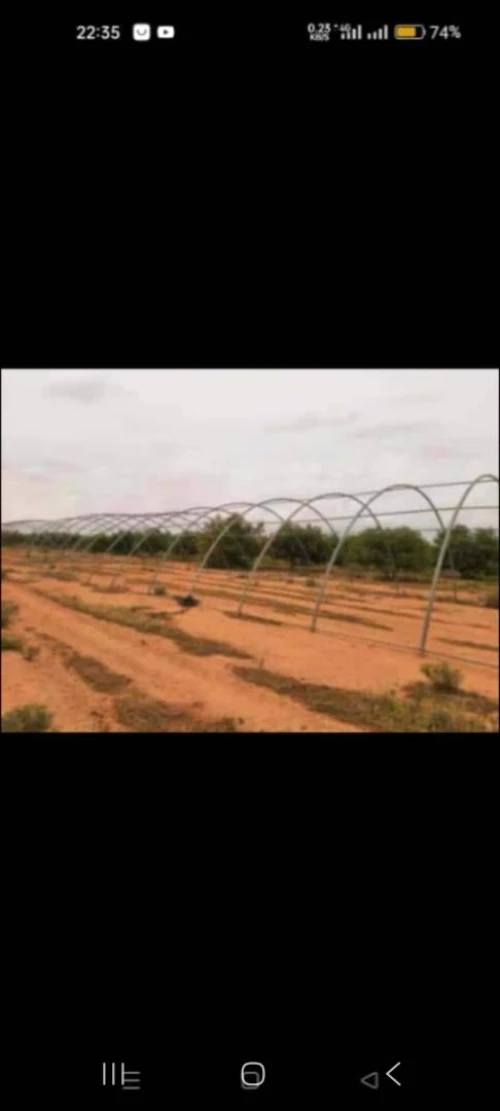 Vente Terrain Agricole Saïda Saida