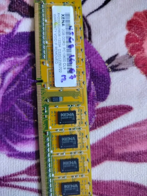 Ram