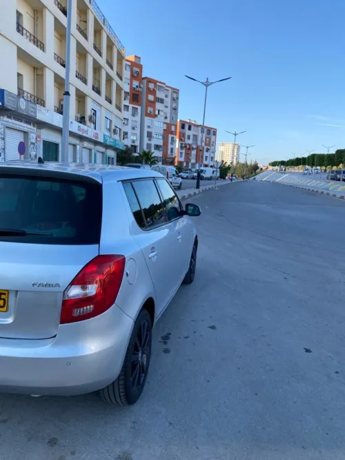 Skoda Fabia 2014 Visage