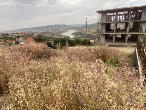 Vente Terrain Boumerdès Larbatache