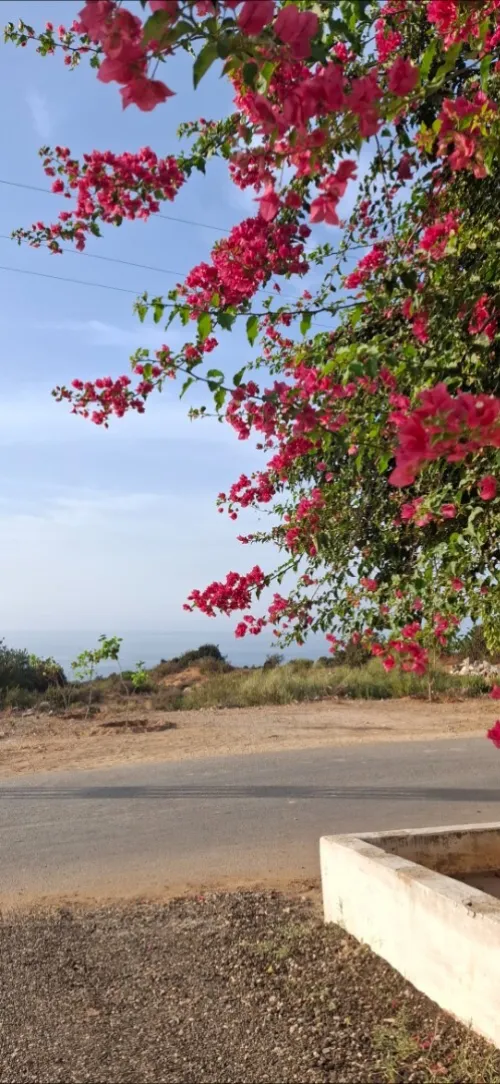 Location Appartement Niveau de villa F3 Mostaganem Mostaganem