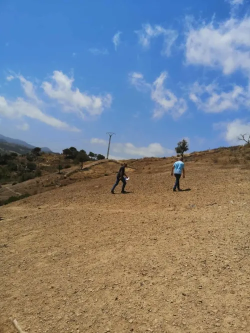 Vente Terrain Tipaza Gouraya
