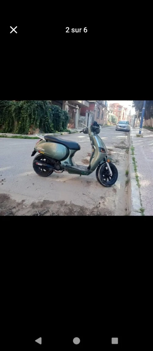 Estate 50 cc Longipa 2017