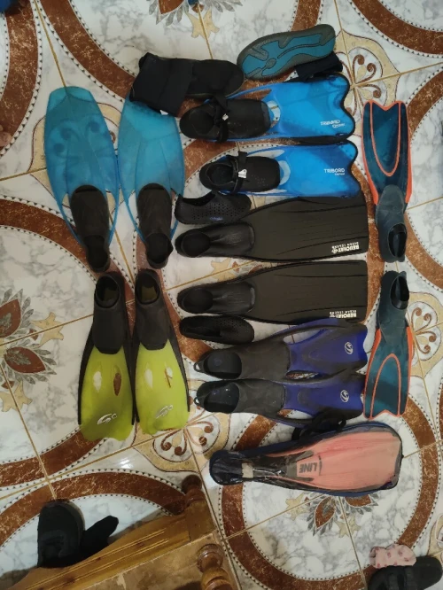 Les palmes de natation