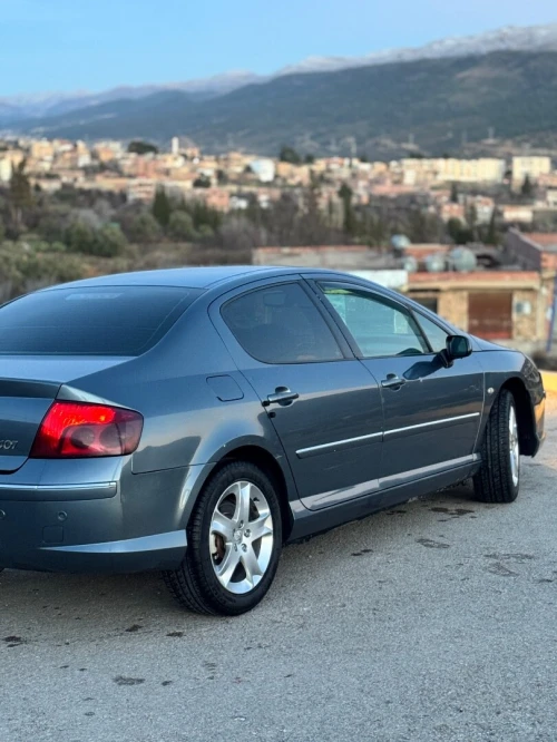 Peugeot 407 2008 407