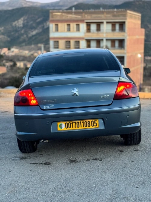 Peugeot 407 2008 407