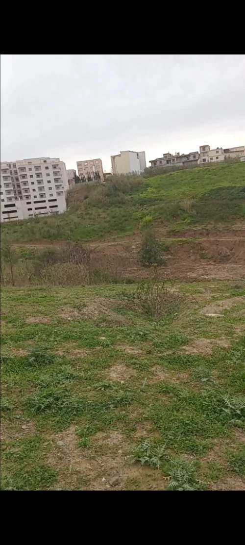 Vente Terrain Alger Ouled fayet