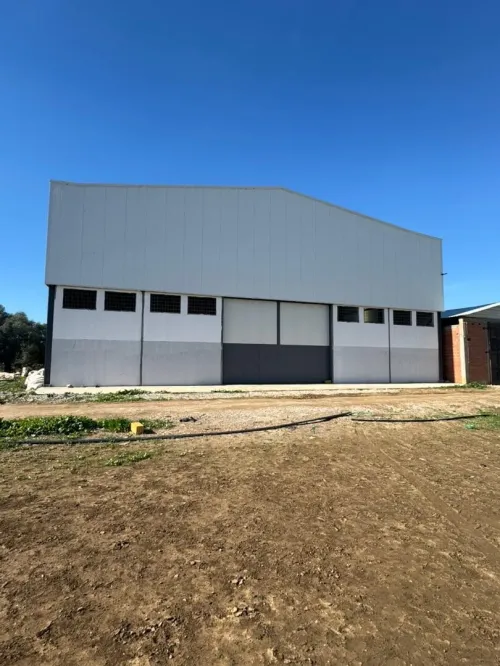 Vente Hangar - Usine Alger Birtouta