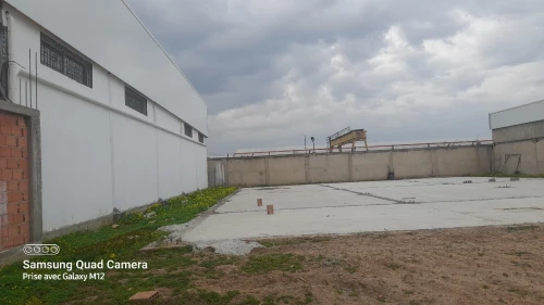 Location Hangar - Usine Alger Rouiba