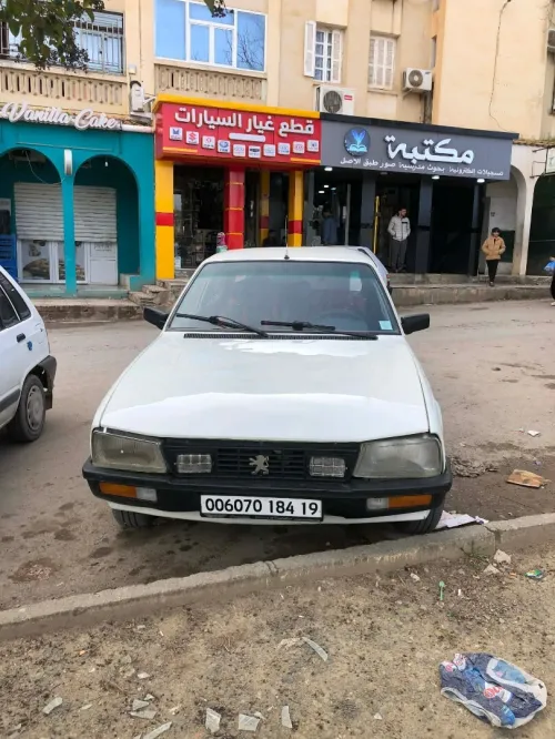 Peugeot 505 1984 505