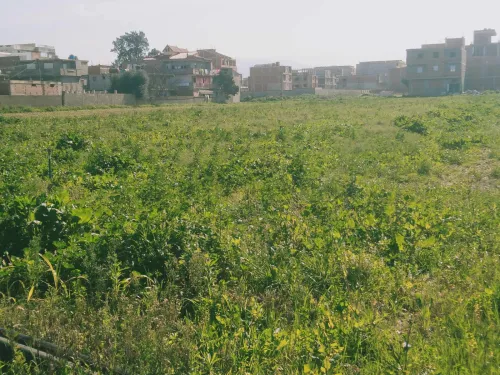 Vente Terrain Boumerdès Hammedi