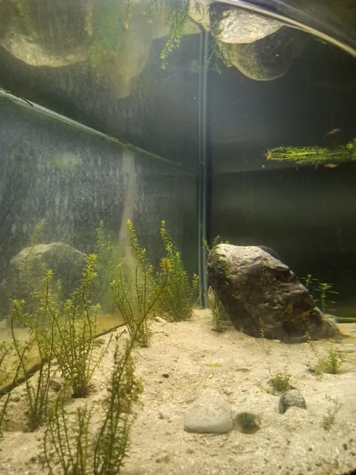 حوض اسماك كبير 200 لتر aquarium giante 200 litre