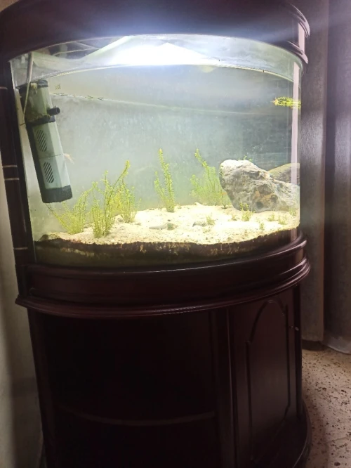 حوض اسماك كبير 200 لتر aquarium giante 200 litre