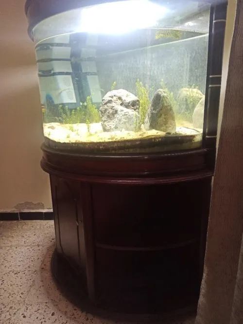 حوض اسماك كبير 200 لتر aquarium giante 200 litre