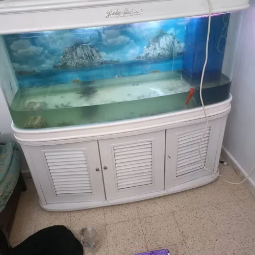 Aquarium 