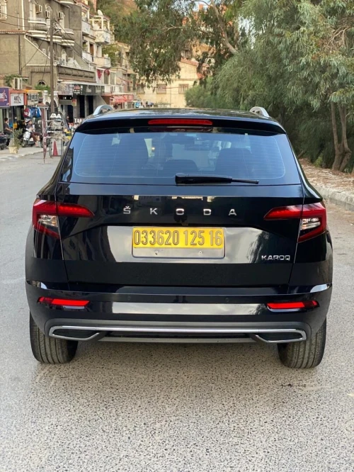 Skoda Karoq 2025 