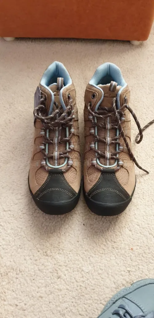 Chausseur Clarks 