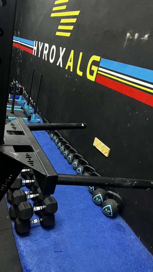 Crossfit kettle bell halter disc bar