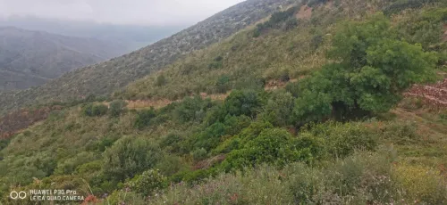Vente Terrain Béjaïa Bejaia