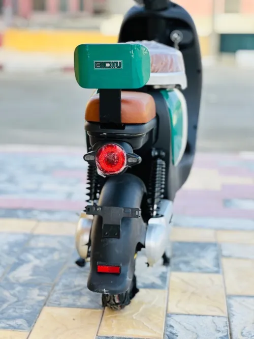 Niu Niu 2025
