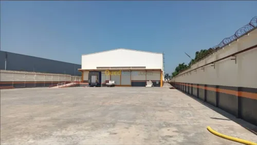 Location Hangar Alger Alger centre