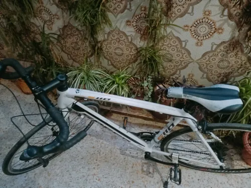 Spégo S110