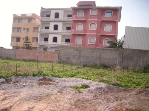 Vente Terrain Alger Tessala el merdja