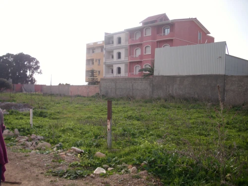 Vente Terrain Alger Tessala el merdja