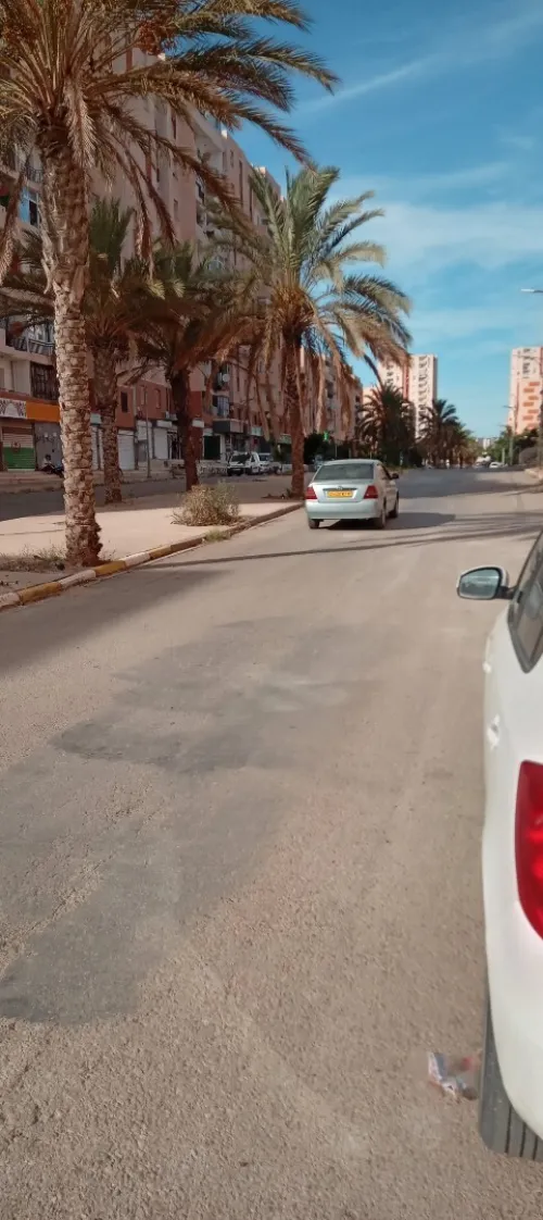 Location Local Alger Reghaia